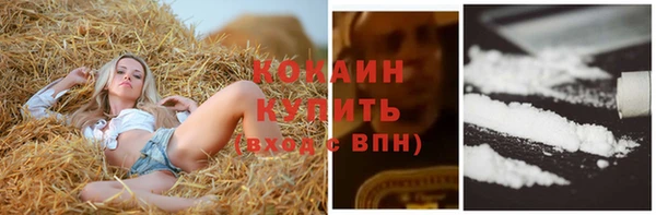 дмт Армянск