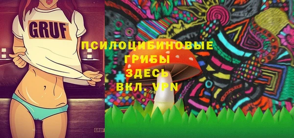 дмт Армянск