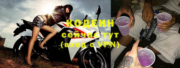 сатива Чердынь