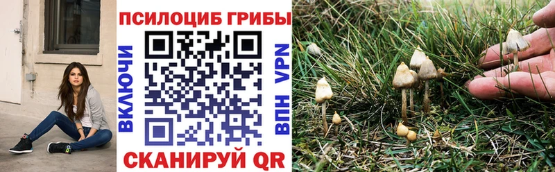 Галлюциногенные грибы MAGIC MUSHROOMS Холмск