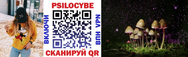 MEGA как зайти  Холмск  Галлюциногенные грибы Psilocybine cubensis 